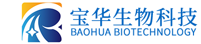 广发网页版